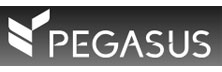 Pegasus Solutions